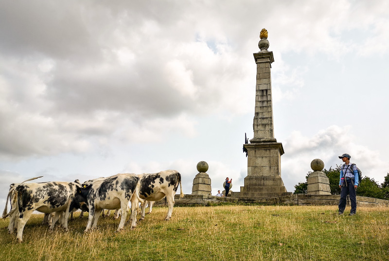 Coomb Hill Wendover 2