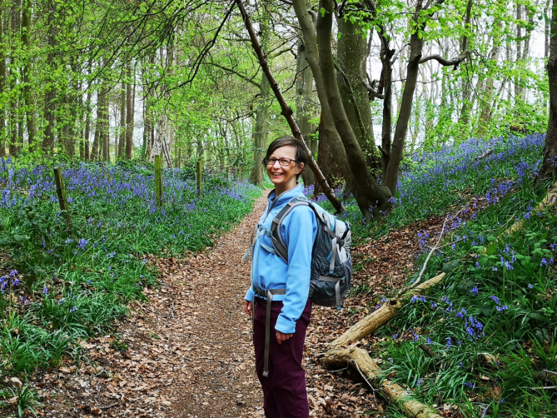 Bluebells 1