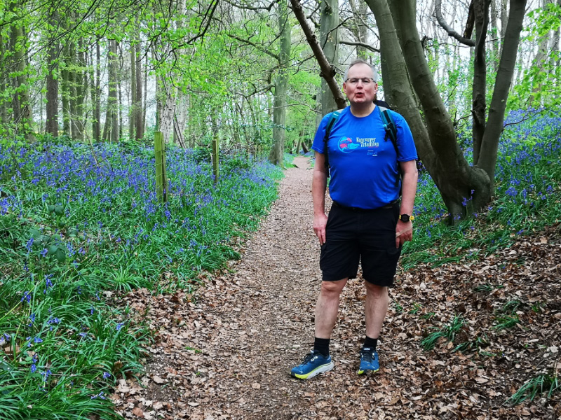 Bluebells 2