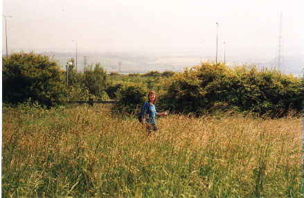miche in a field near the angel of the north