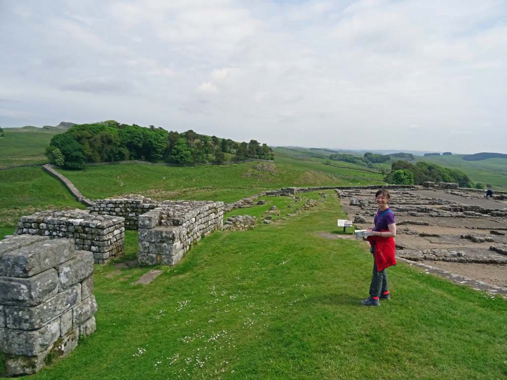 Housesteads 3