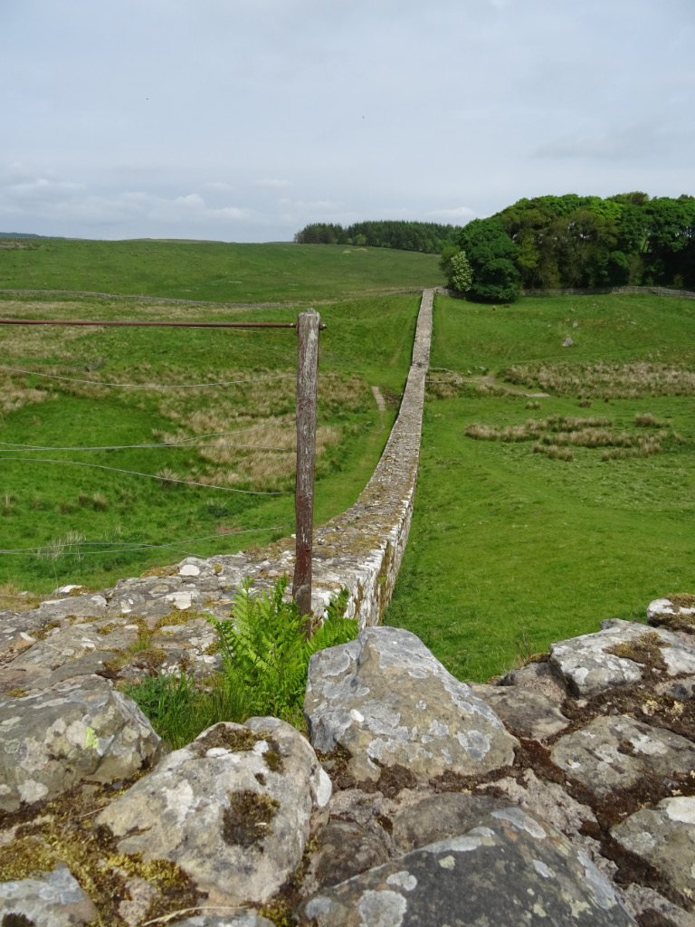 Housesteads 4