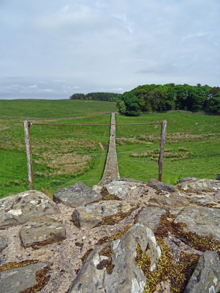 Housesteads 6