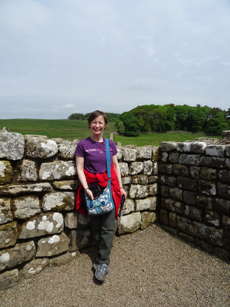 Housesteads 7