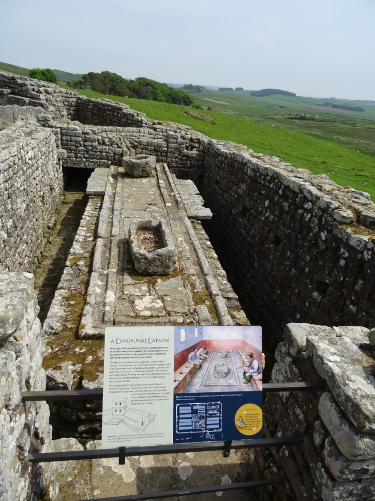 Housesteads 10