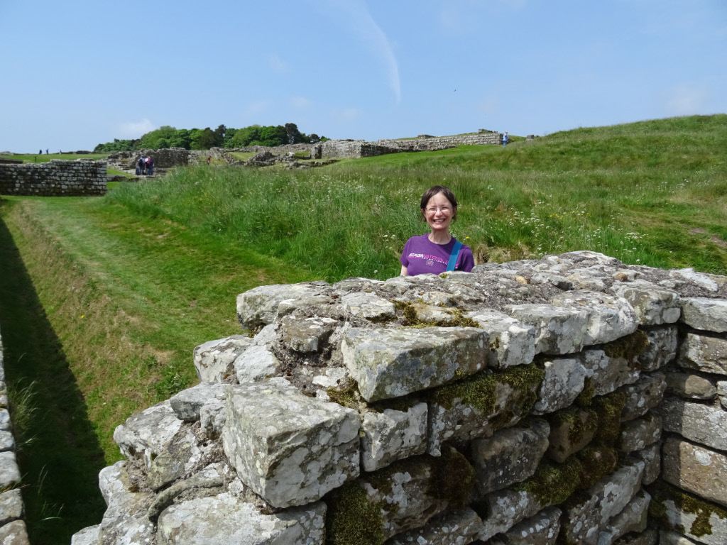 Housesteads 11