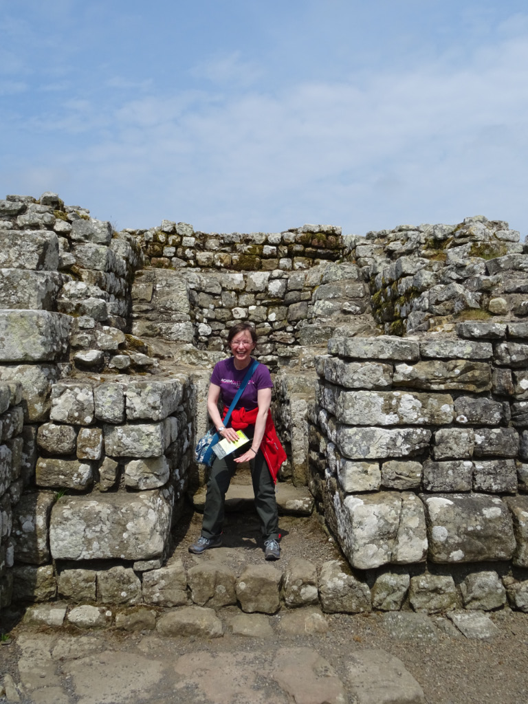 Housesteads 19