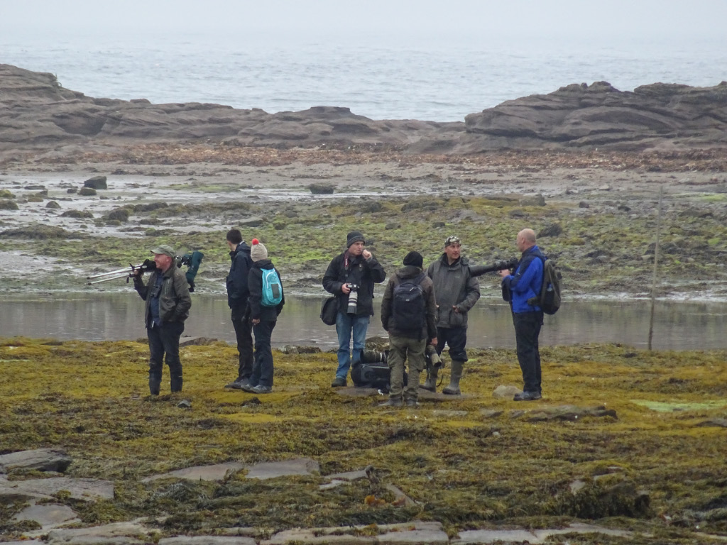 &nbsp;Seahouses 15
