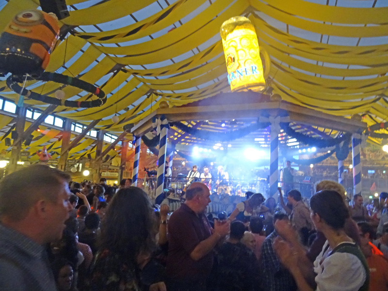 Paulaner 31