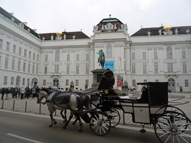 Vienna17-D4-12
