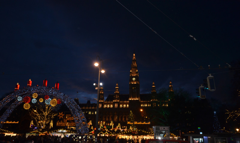 Vienna17-D4-21
