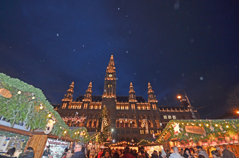 Vienna17-D4-22