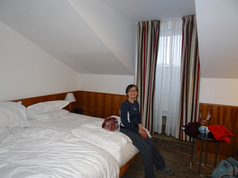 Vienna17-D5-1