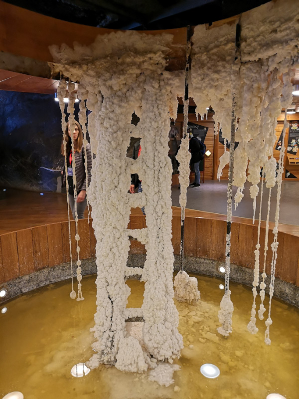 Wieliczna 16
