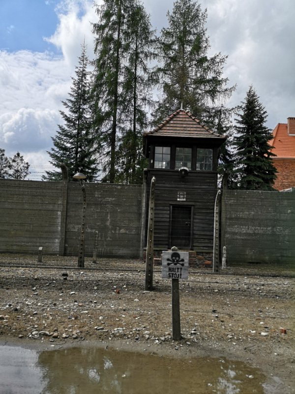 Auschwitz 3