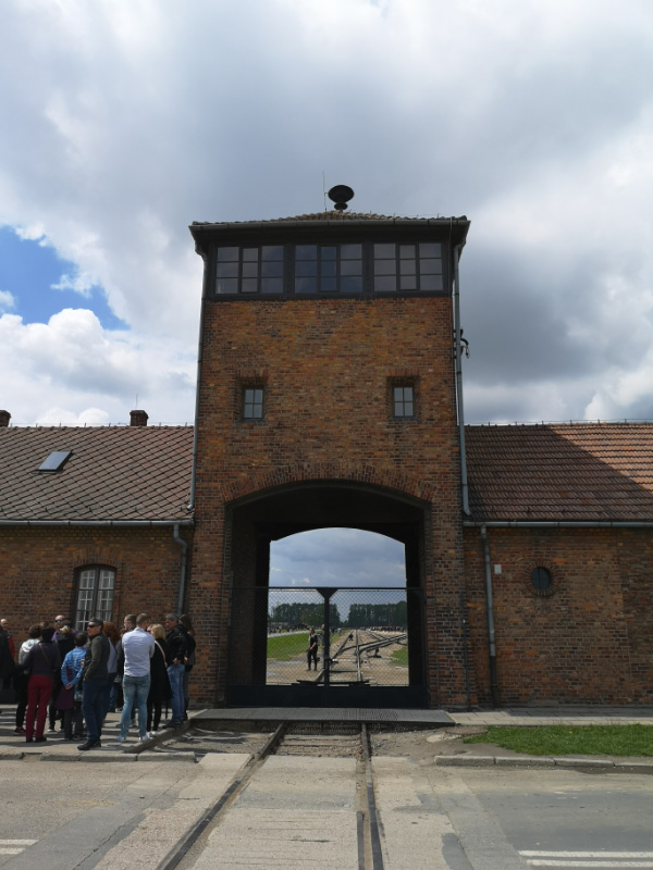 Birkenau 1
