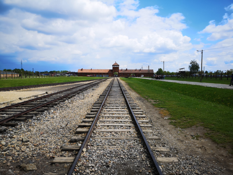Birkenau 2