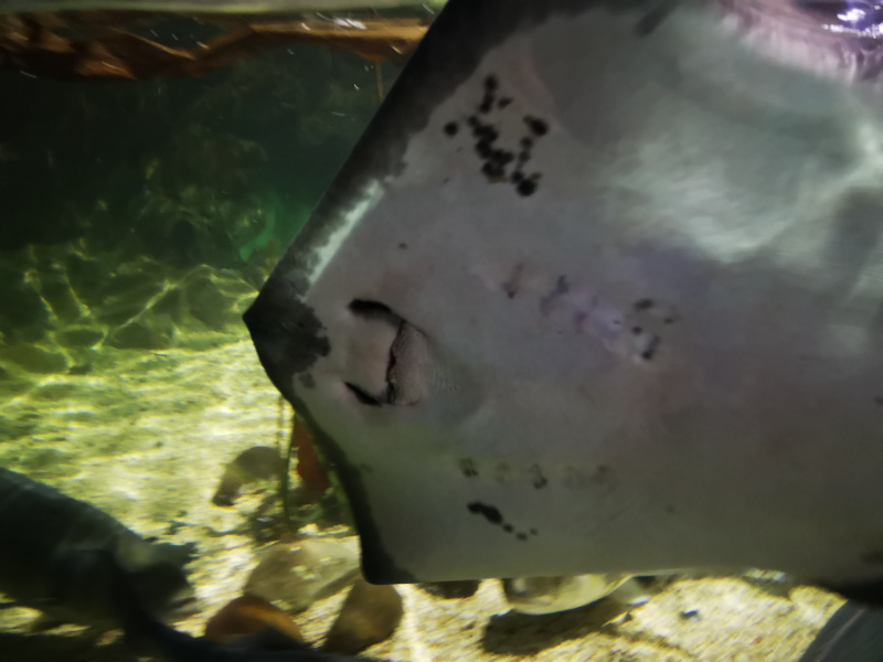 Aquarium 3