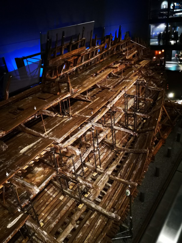 Mary Rose 3