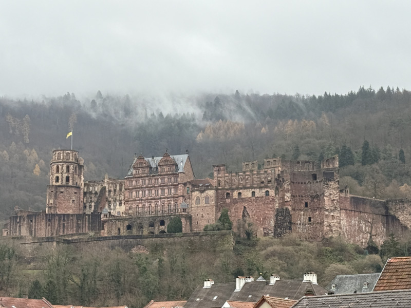 Heidelberg 2