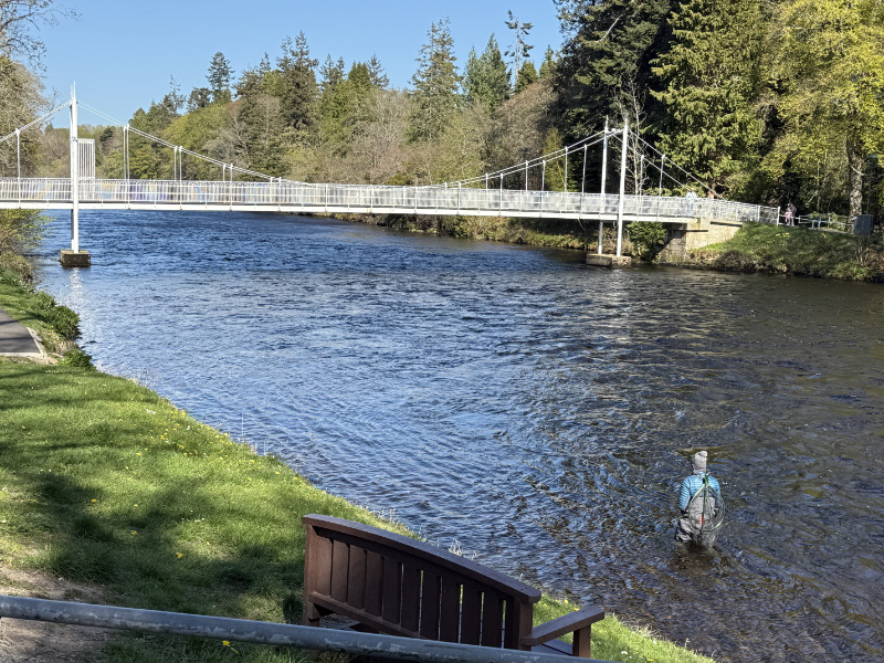 Fly Fishing