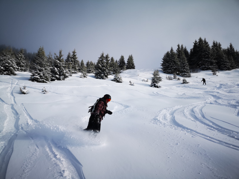 Snow 8