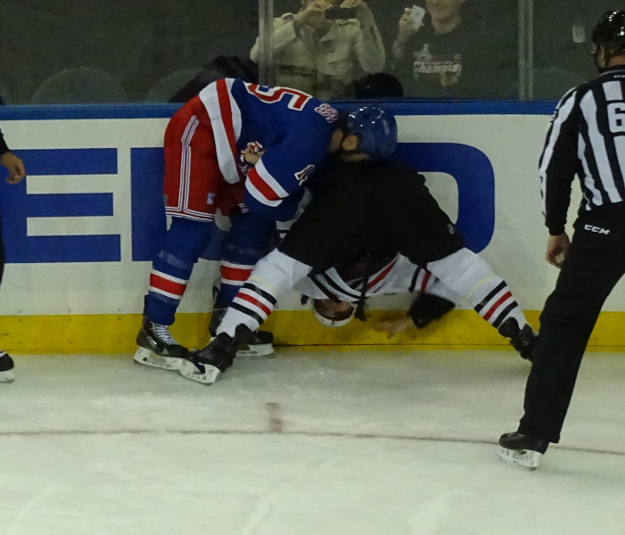 Hockey fight