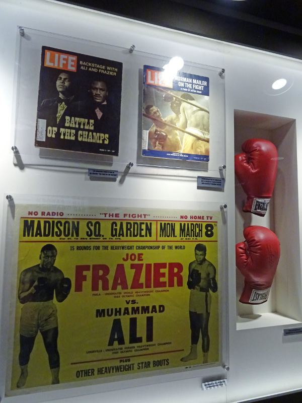 Ali v Fazier