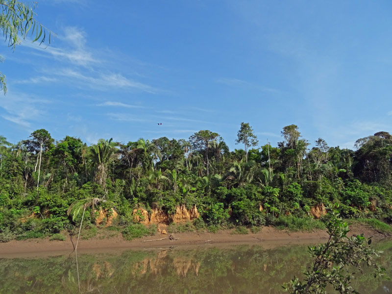 Bank 1