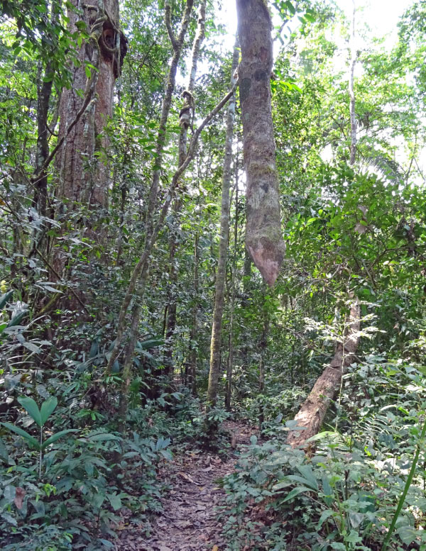 Log 1