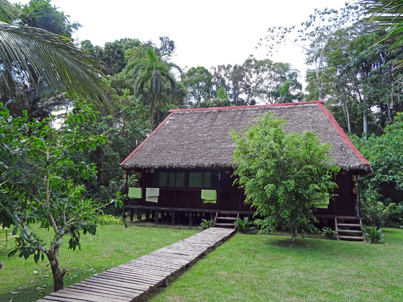 Camp