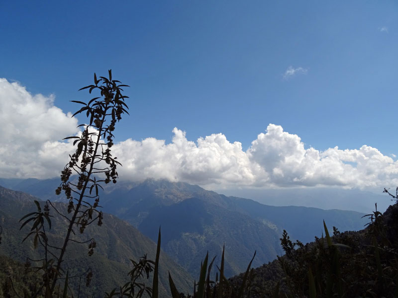 Valley view 1