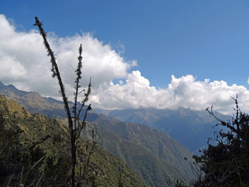 Valley view 3