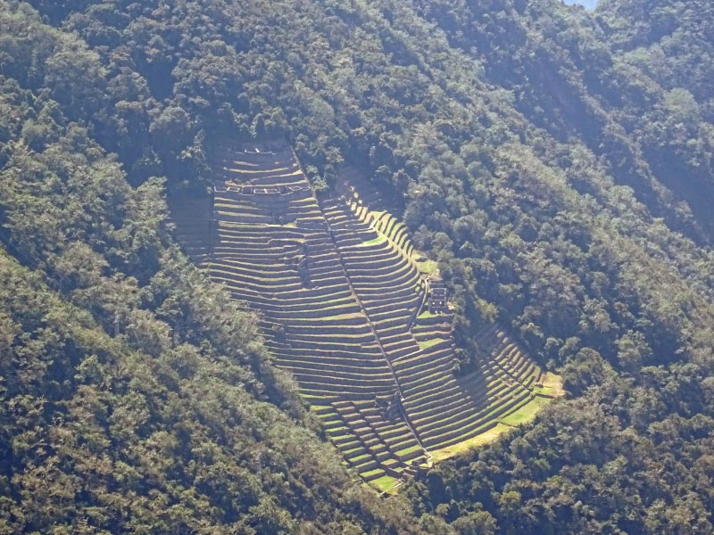 Intipata