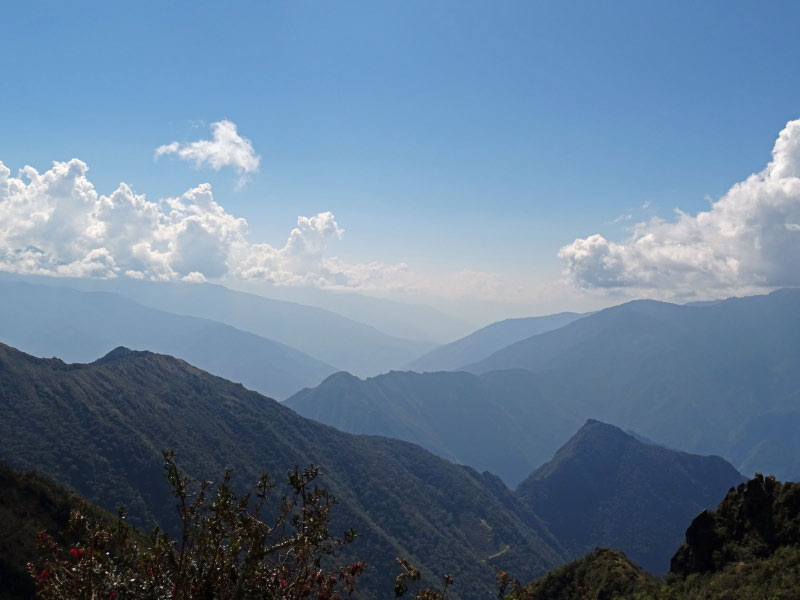 View