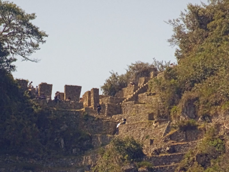 Machu Picchu 14
