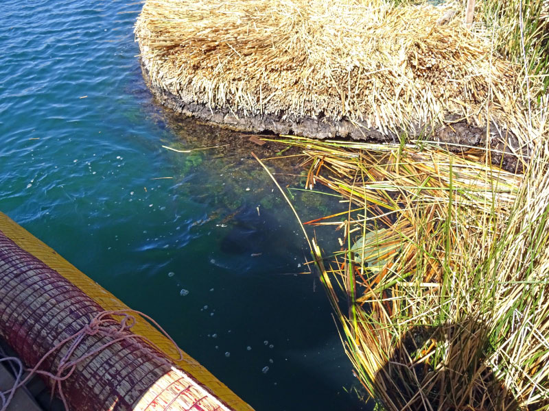 Uros Island 19