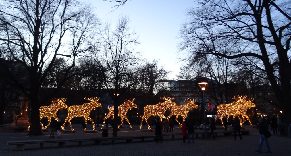 Reindeer 1