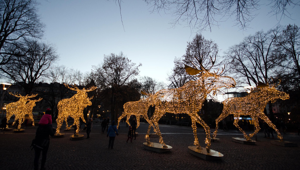 Reindeer 2