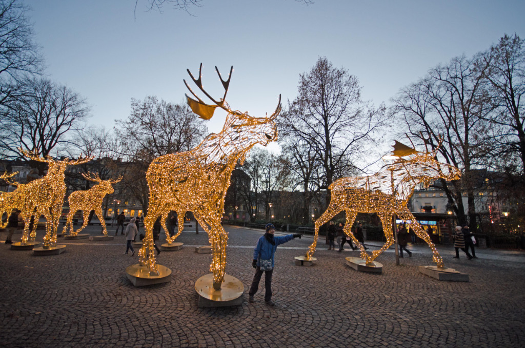 Reindeer 3