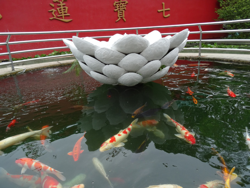 Po Lin 2