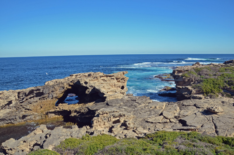 Cove