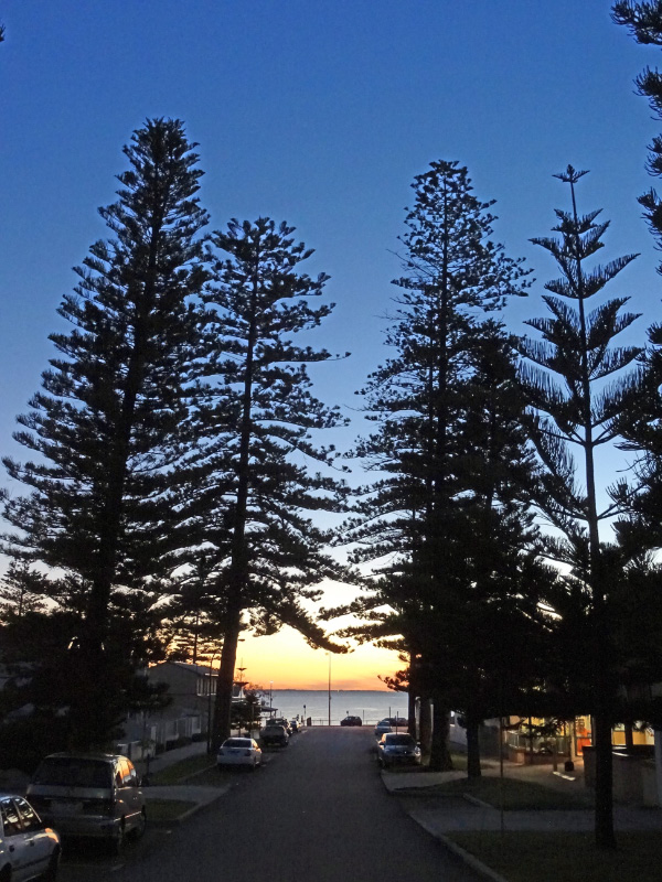 Cottesloe 1