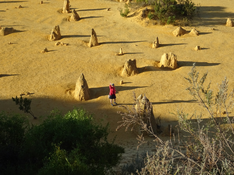 Dunes view