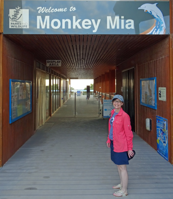 Monkey Mia 1