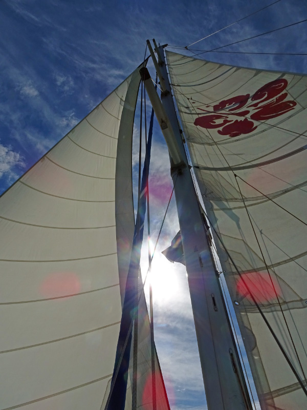 Catamaran 5