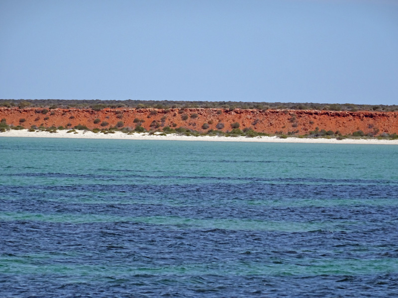 Catamaran 7