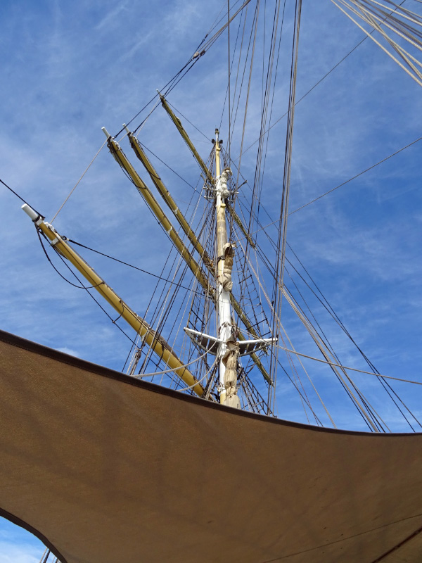 Catamaran 11