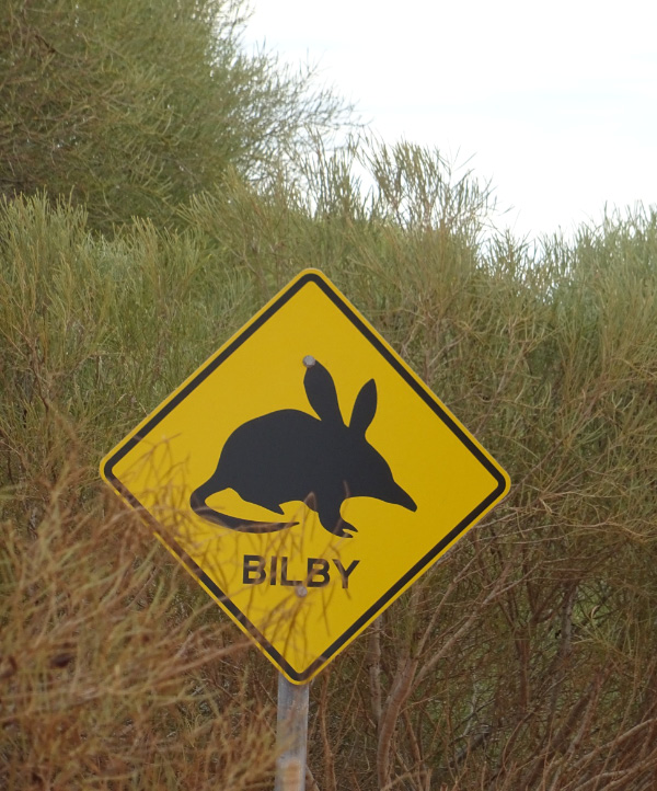 Bilby