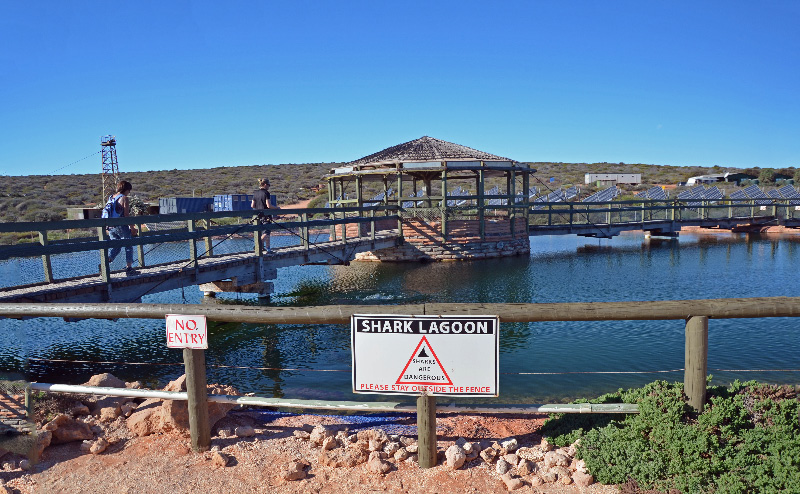 Shark pen